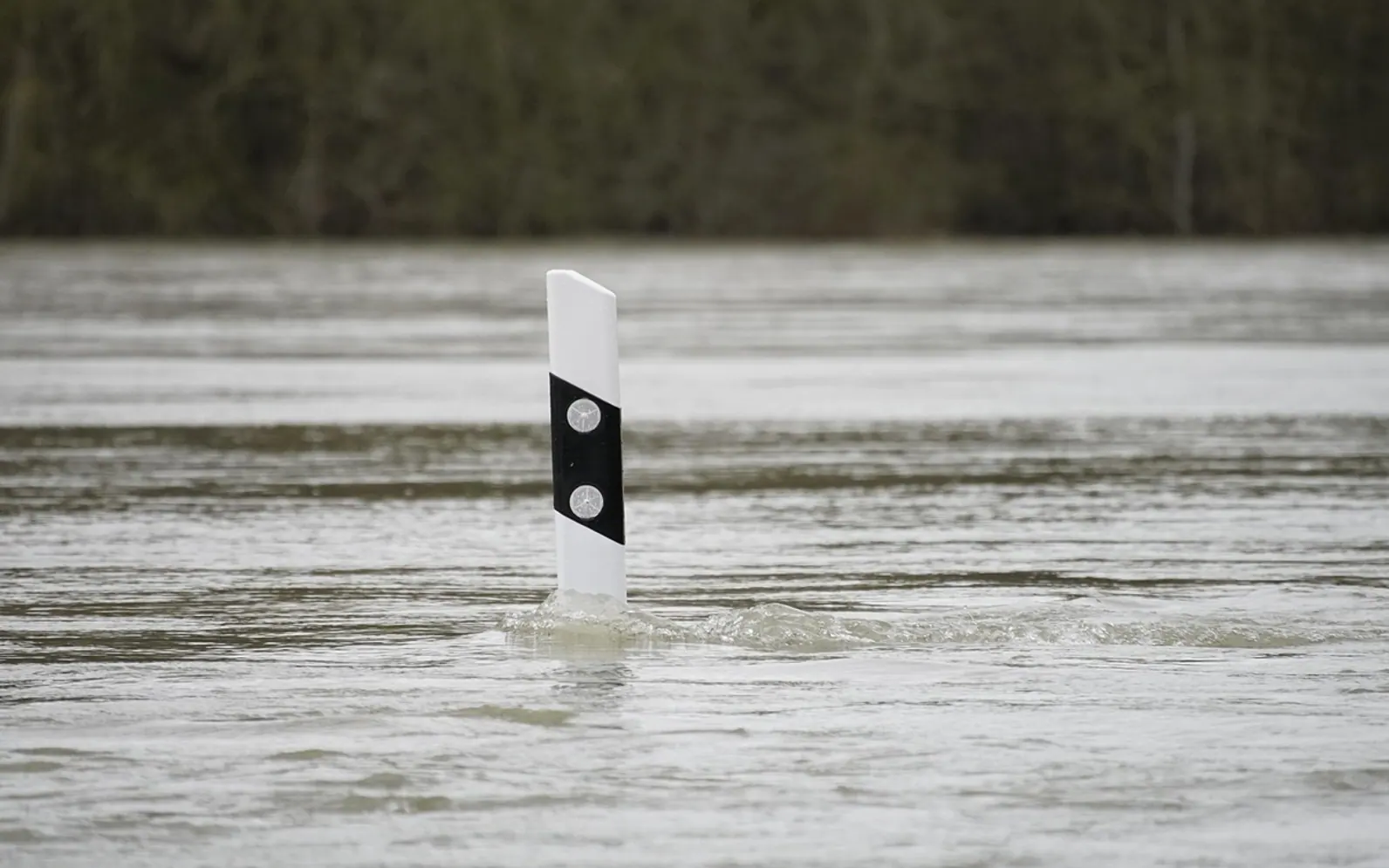 Flood, water and pole